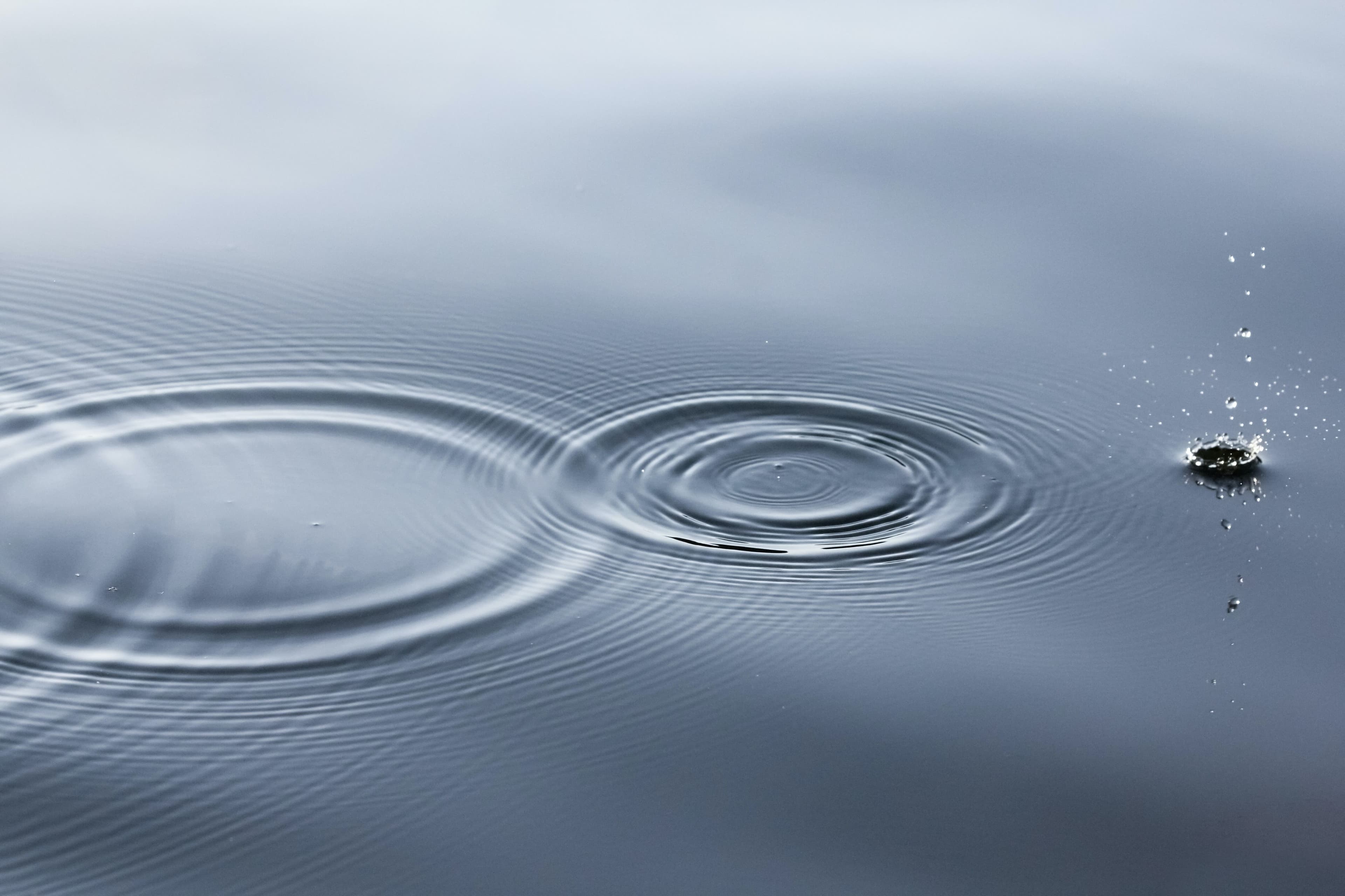 Changing Firms: A Guide for Advisors on Client Communication