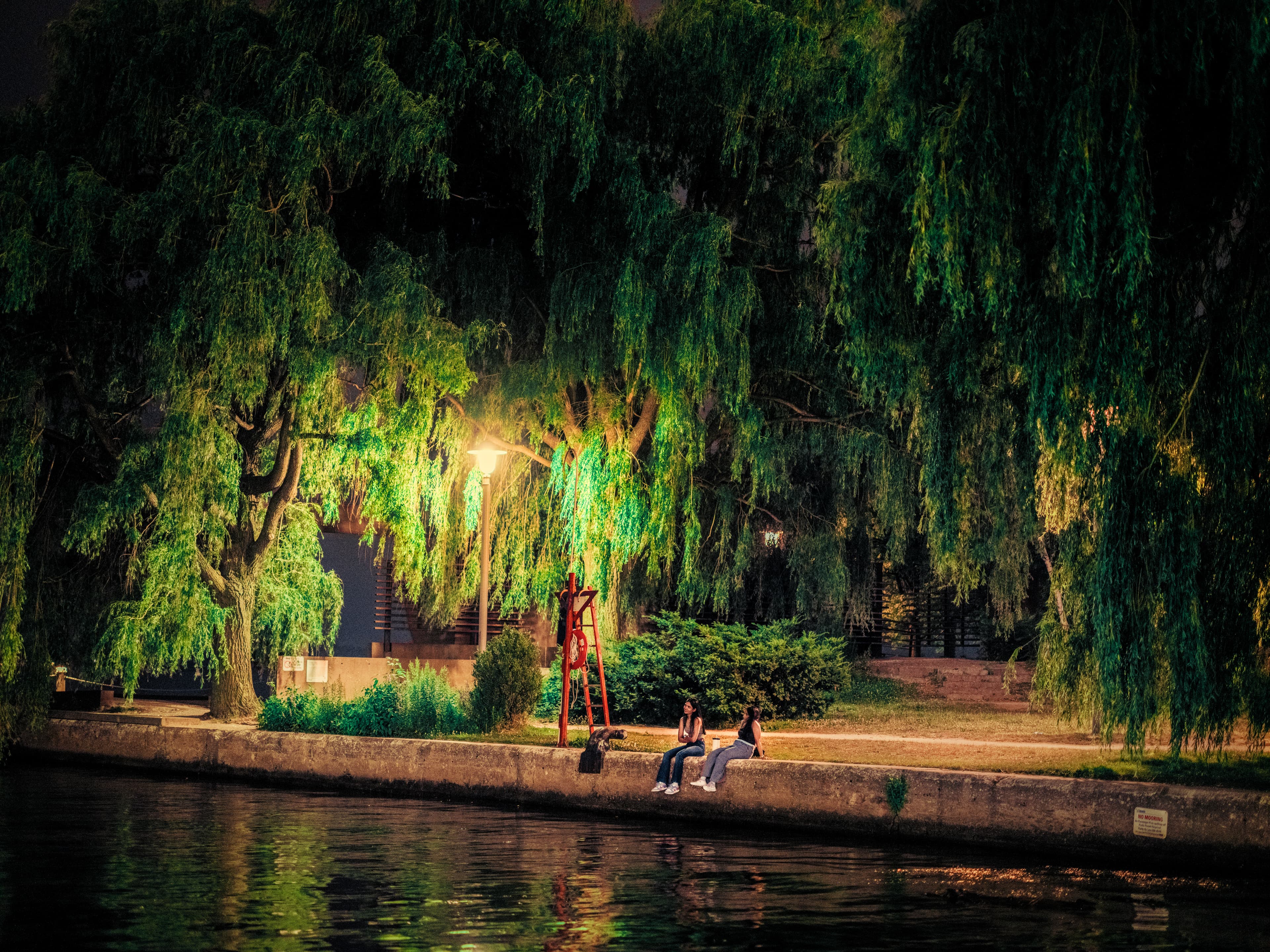 Two people sitting down on an edge next to a body of water underneath a canopy of green trees